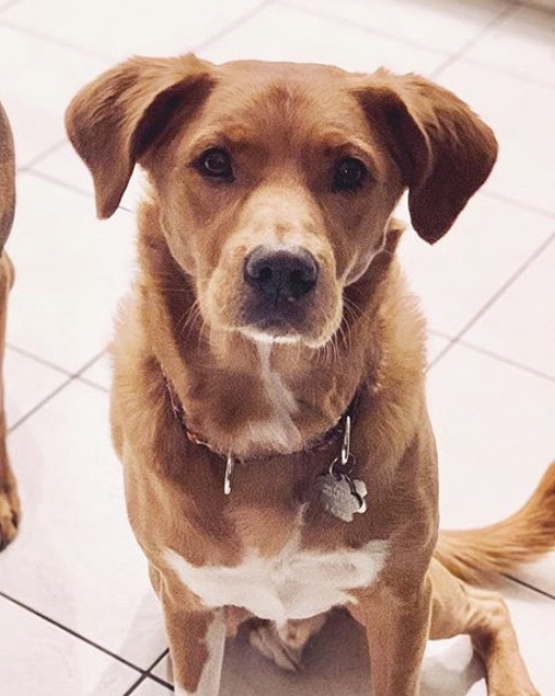 Ted